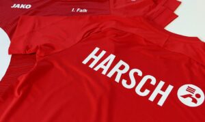 HarschTextilienSportshirts0522