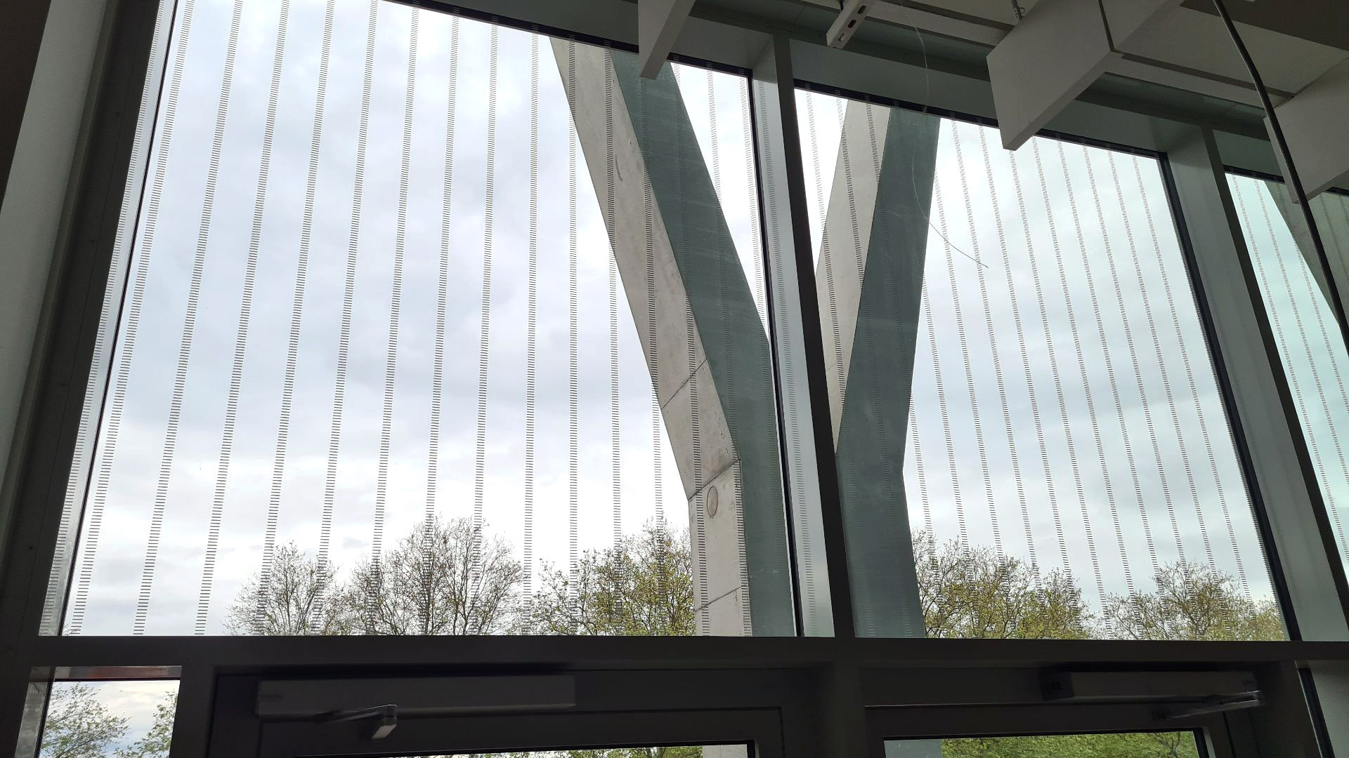 Dünne vertikale Linien auf Fensterglas vor einer Y-förmigen Betonstütze und Baumwipfeln